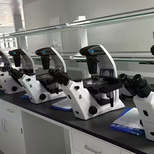 A biotechnology company in Zhengzhou