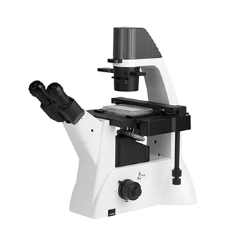 A Comprehensive Guide to the Light Microscope