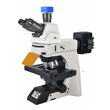 E900 Upright Biological Microscope