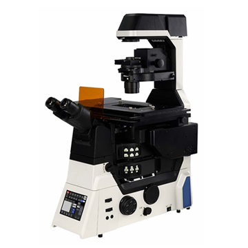 NIB1000 Inverted Microscope: China Factory Price Live Cell Imaging