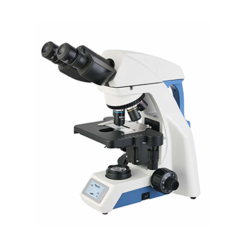 Upright Biological Microscope