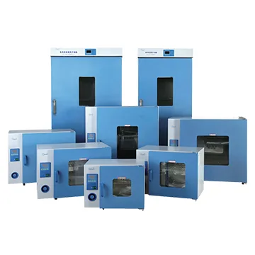 Upgraded Popular Forced Air Drying Oven