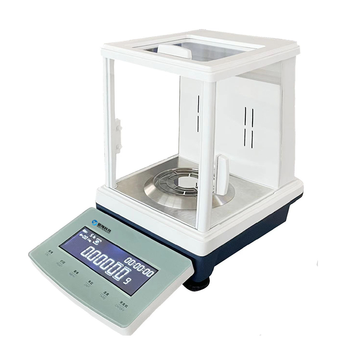 Electronic Precision Balance