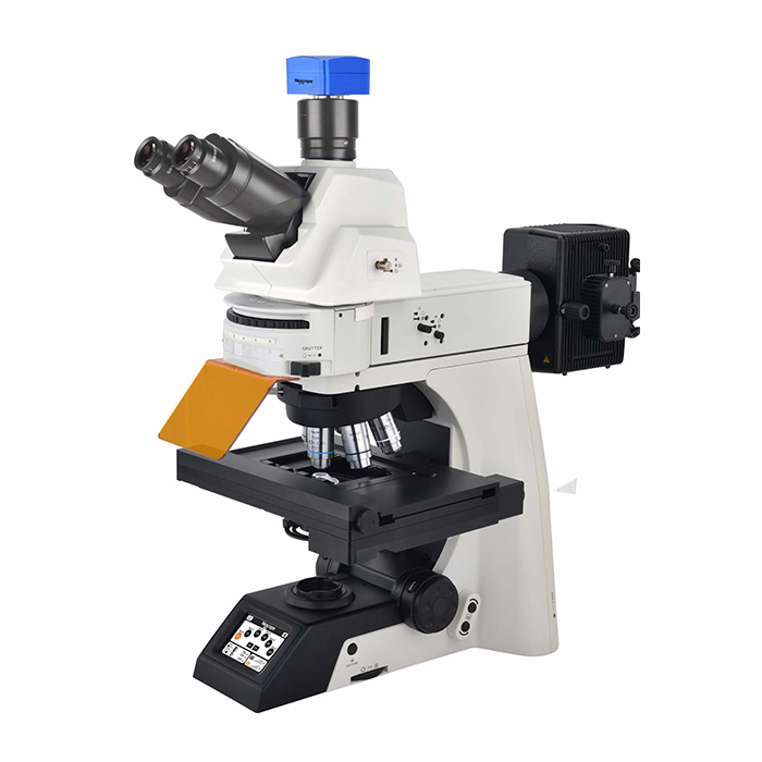 NE900 Research Microscope