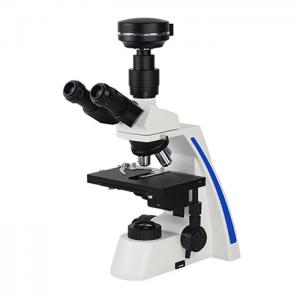 Routine biological microscope ML31