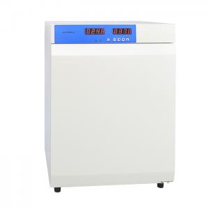 Thermostatic Incubator
