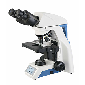 Upright Biological Microscope